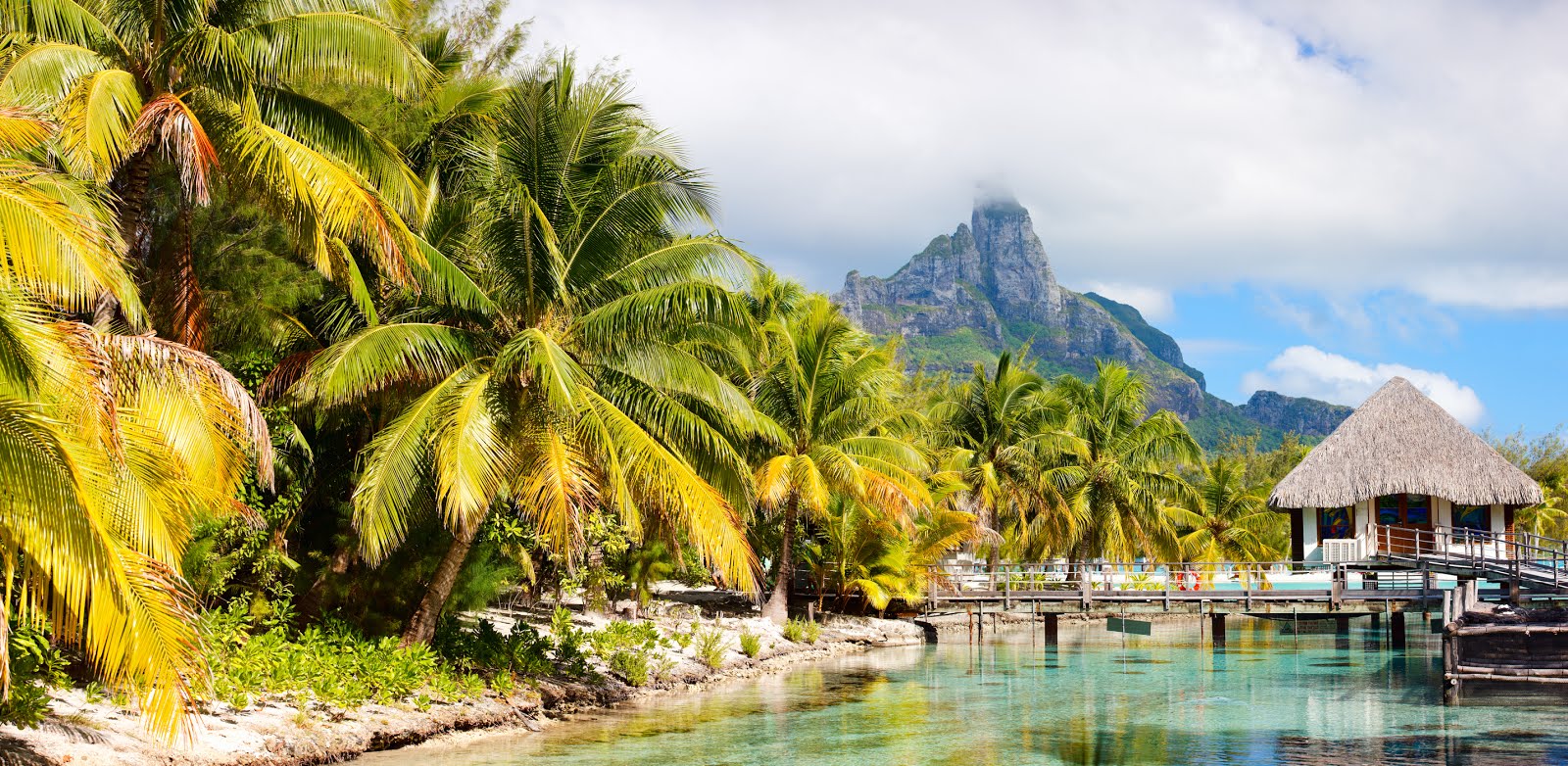 MS PANORAMA II VARIETY CRUISES VELERO ISLAS SOCIEDAD VELERO BORA BORA CRUCEROS TAHITI CRUCEROS EN BARCO PEQUEÑO VELERO CRUCEROS VIAJES DE NOVIOS CRUCEROS DE LUJO CRUCEROS POCOS PASAJEROS #VarietyCruises #Moorea #IslasSociedad #Tahiti #BoraBora #BoraBoraCruises #LunaDeMiel #LunasDeMiel #ViajesDeNovios #Cruceros #Creuers #Bidaiak